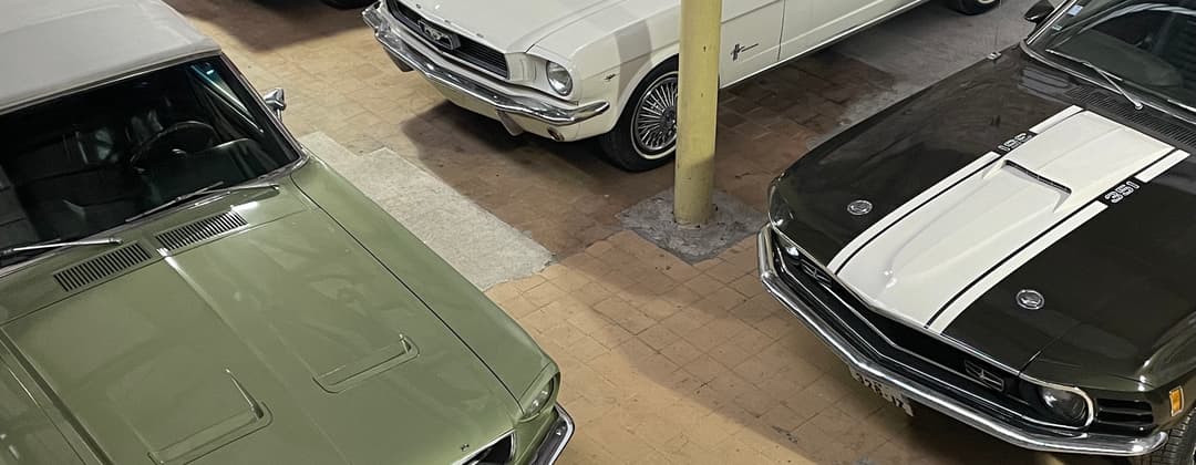 WILD CARS