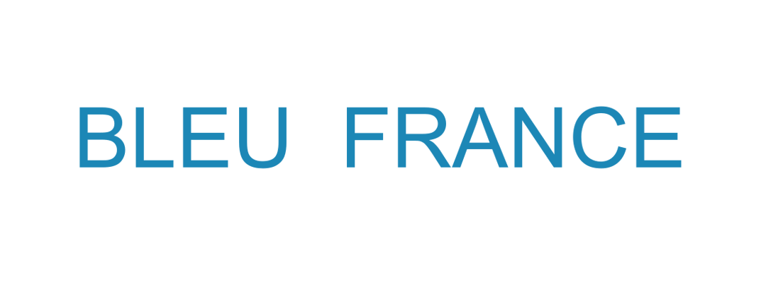 SAS BLEU FRANCE