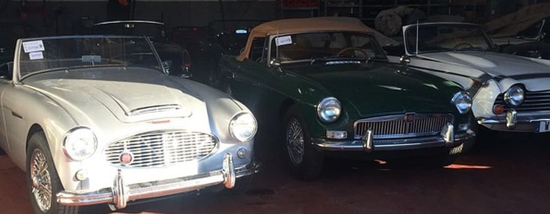 ROADSTER AND CO