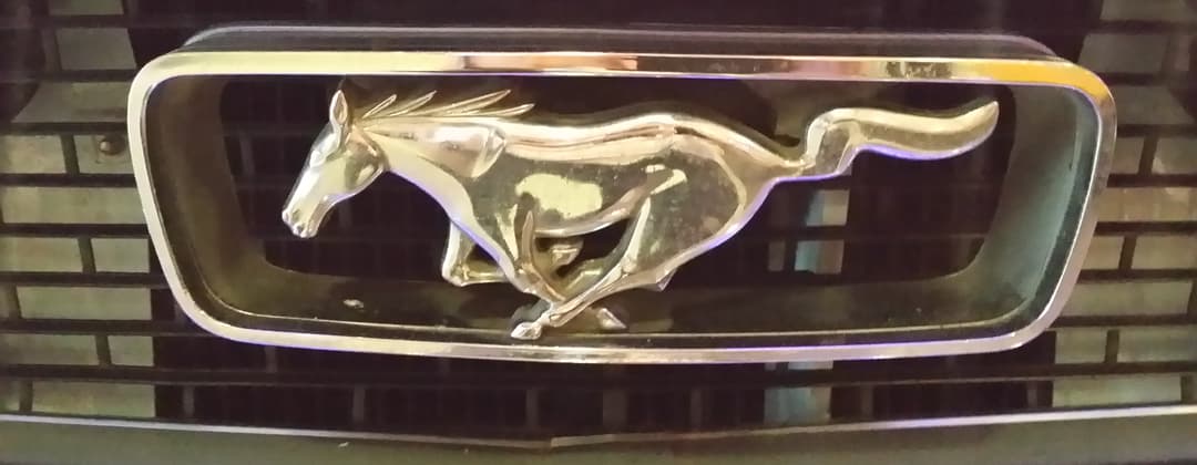 The Mustang Garage Germany