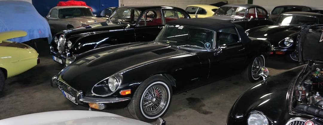 Jaguar - Kümpel